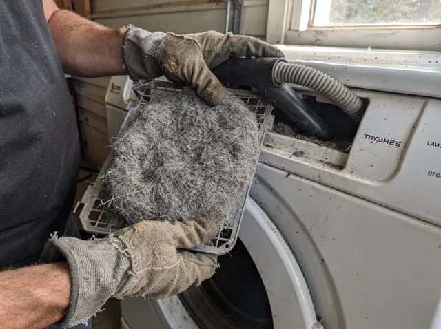 Cleaning Dryer Lint Trap in Branford